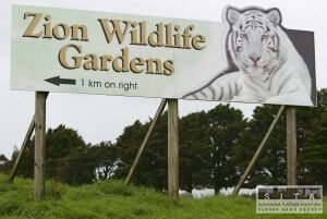 Tiger v ZOO vo Whangarei zabil oetrovatea