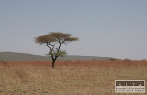 Klimatick zmeny sleduje aj africk nia