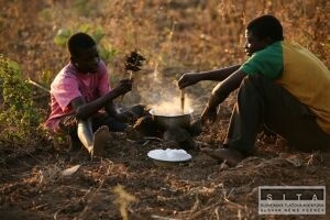 Deti na tabakovch poliach v Malawi trpia, ako keby fajili 50 denne