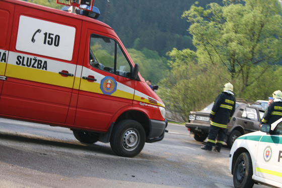 Zver roka bol tragick, na ceste pri Oadnici vyhasol udsk ivot