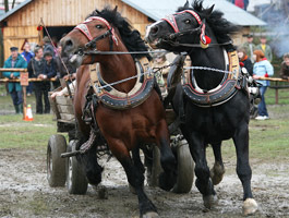 Furmani ovldli Bystrick dolinu