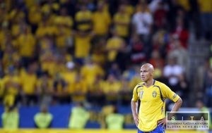 Henrik Larsson sa rozli s aktvnou karirou