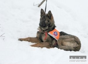 V Tatrch a v Malej Fatre trv zven lavnov nebezpeenstvo