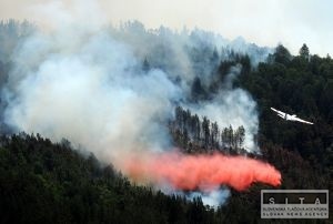 Lesn poiar v panielsku zniil 6000 hektrov pdy