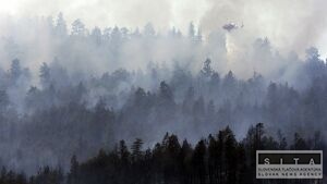 Pred lesnm poiarom v Kanade evakuovali 2200 ud