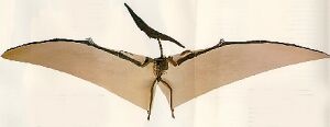 Pterosaury boli zrun letci, tvrd tdia