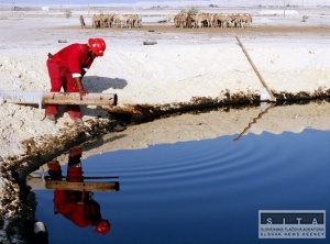 OPEC zvauje mimoriadny mting, ak ceny ropy nestpnu