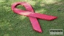 Na prevenciu HIV/AIDS vlda pripravila 17 aktivt