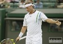 Nalbandian koncom augusta zane trnova