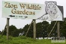 Tiger v ZOO vo Whangarei zabil oetrovatea