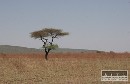 Klimatick zmeny sleduje aj africk nia