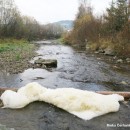 Kostra z ernanky patrila ene zo Svrinovca, potvrdila to analza DNA