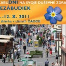 Dni nezbudiek 2011 v adci - Dni duevnho zdravia