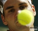 Musk tenisov rebrek vedie Federer