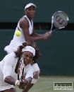 Serena a Venus mono s podielom na klube NFL Miami Dolphins