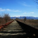 V Turzovke sa zrazil vlak s osobnm autom, vodi auta zrky nepreil