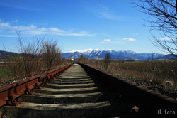 V Turzovke sa zrazil vlak s osobnm autom, vodi auta zrky nepreil